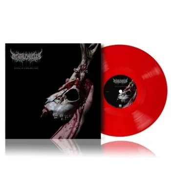Mental Cruelty - Echoes Of A Forlorn Land (Transparent Red) LP - Mental Cruelty