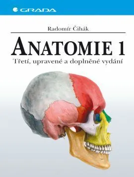 Anatomie 1 - třetí. upravené a doplněné vydání - Radomír Čihák
