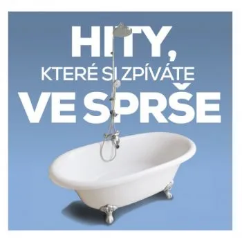Various - Hity, které si zpívate ve sprše 2CD - Various Artists