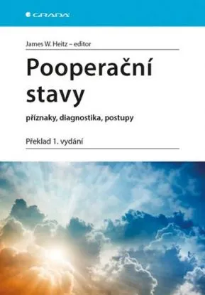 Pooperační stavy - příznaky, diagnostika, postupy - James W. Heitz