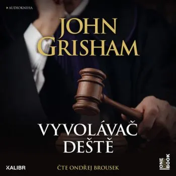Vyvolávač deště - audiokniha 2CDmp3 - John Grisham