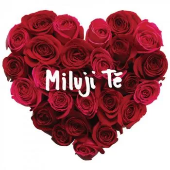 Various - Miluji Tě CD - Various Artists