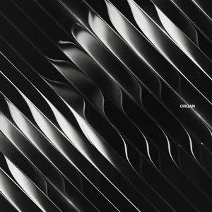 Dimension - Organ CD - Dimension