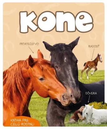 Kone - Dorota Kozińska