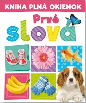 Kniha plná okienok: Prvé slová - Andrew Burgess, Pooja Desai