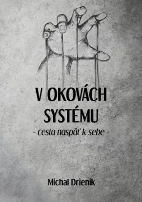 V okovách systému - Michal Drienik