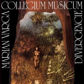 Collegium Musicum - Divergencie 2LP - Collegium Musicum