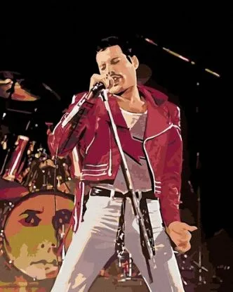 Maľovanie podľa čísel Freddie Mercury na pódiu 40x50cm Zuty - ZUTY