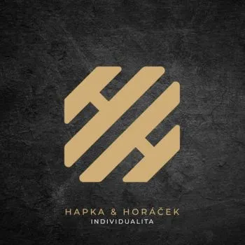 Hapka & Horáček - Individualita (Box Set) 4LP - Petr Hapka, Michal Horáček